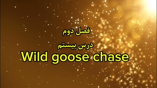 ضرب المثل انگلیسی Wild goose chase