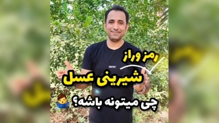 راز شیرینی طبیعی عسل؛ از شهد گل تا عسل