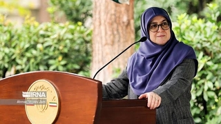 مهاجرانی: ترمیم دستمزدها با در نظر گرفتن چالش‌های تولید دنبال می‌شود