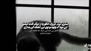 استری کیدز عزیزم، وجودم رو توی این آهنگ گیر انداختی !