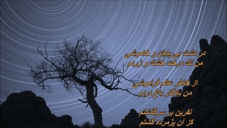 آهنگ افسانه برگ ها از بانو الهه //  Elahe - Afsaneh Bargha