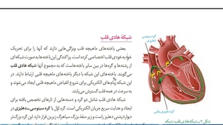 آموزش و حل تست 09149285452  زیست استاد غیاثی  @zisttestghiassi