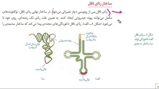 آموزش و حل تست 09149285452  زیست استاد غیاثی  @zisttestghiassi