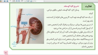 آموزش و حل تست 09149285452  زیست استاد غیاثی  @zisttestghiassi