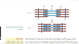 آموزش و حل تست 09149285452  زیست استاد غیاثی  @zisttestghiassi