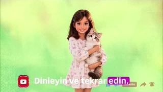وسایل حمل‌ونقل در ترکی استانبولی | Ulaşım Araçları | یادگیری با تکرار و تصویر