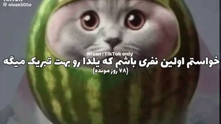 بهتون گفتم می‌خوان ببرنمون اردو؟ خب حالا میگم می‌خوان ببرنمون  کویر ورزنه
