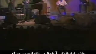 گم گشته ی دیار محبت