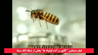 تیزر فیلم سینمایی کالیفرنیا و آدم کوتوله ها