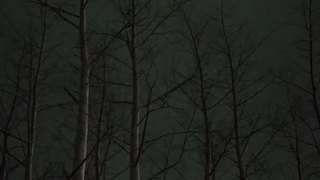 سلاممم ، منو یادتونه هنوز؟