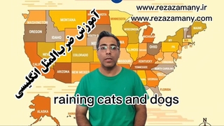 ضرب المثل انگلیسی Cats and Dogsts and Dogs