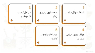 آموزش کاشت نهال گردو