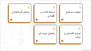 معرفی نهال انجیر گلابی